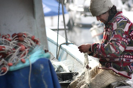Fishing line