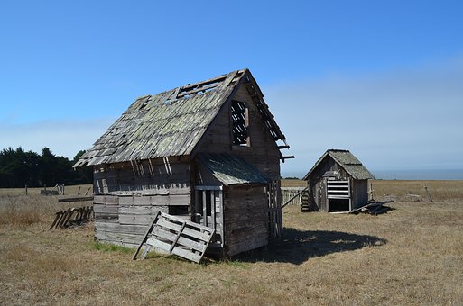  Chicken Coop