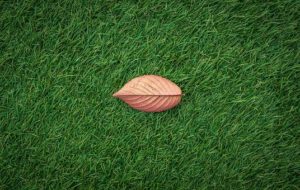 artificial grass