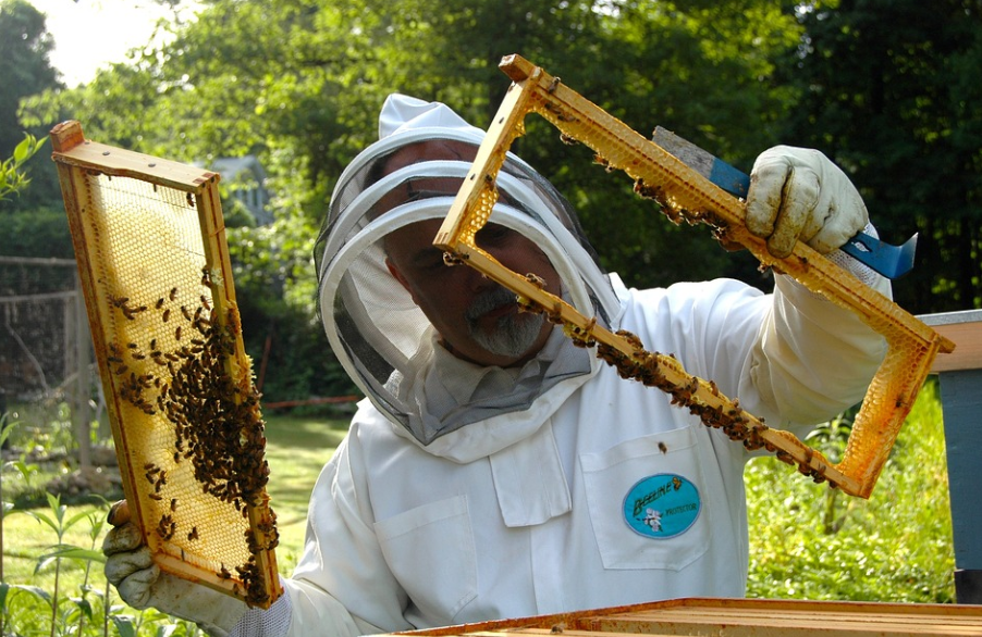 beekeeping